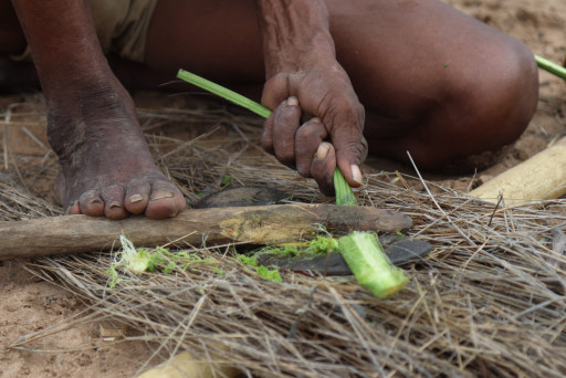 Bushcraft Namibie